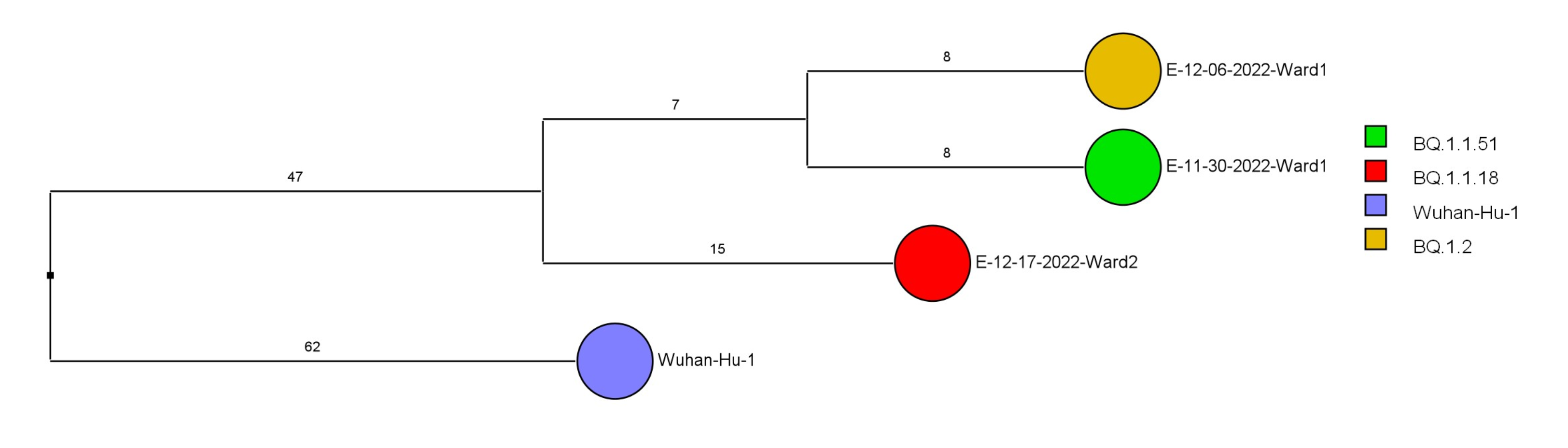 figure 2g