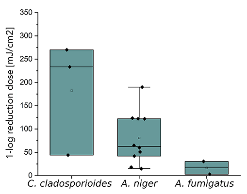 figure 3B
